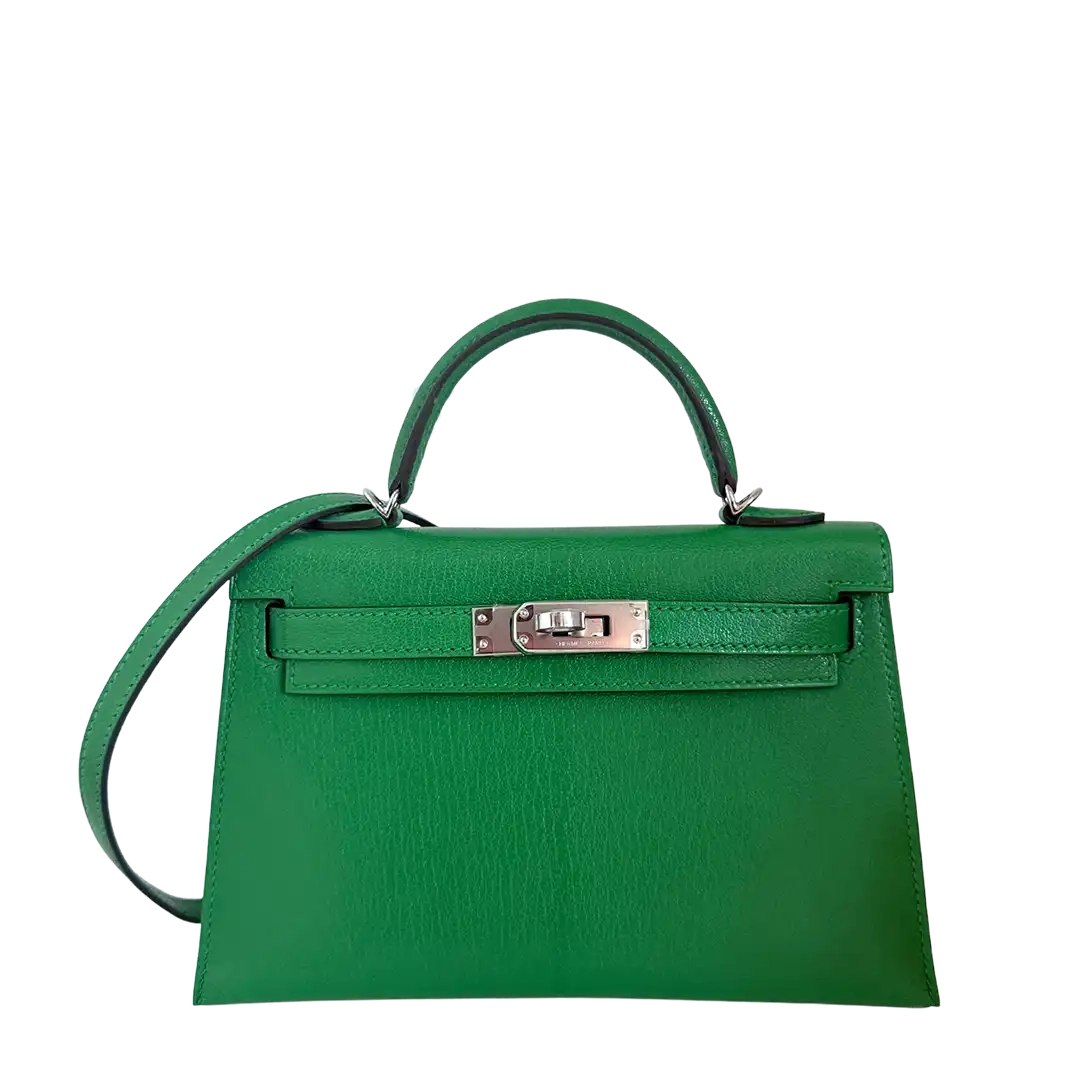 Mini Kelly II 20 Sellier Chevre