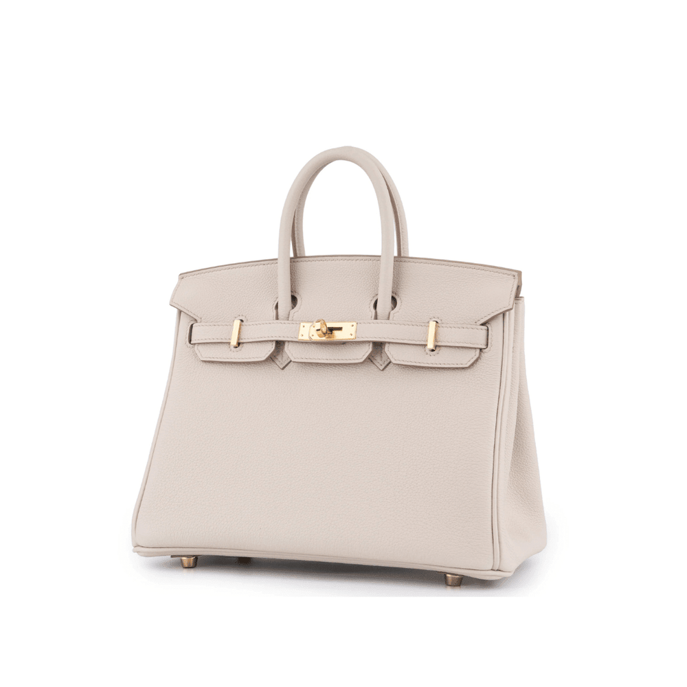Birkin 25 Bag - Novell "Fashion"