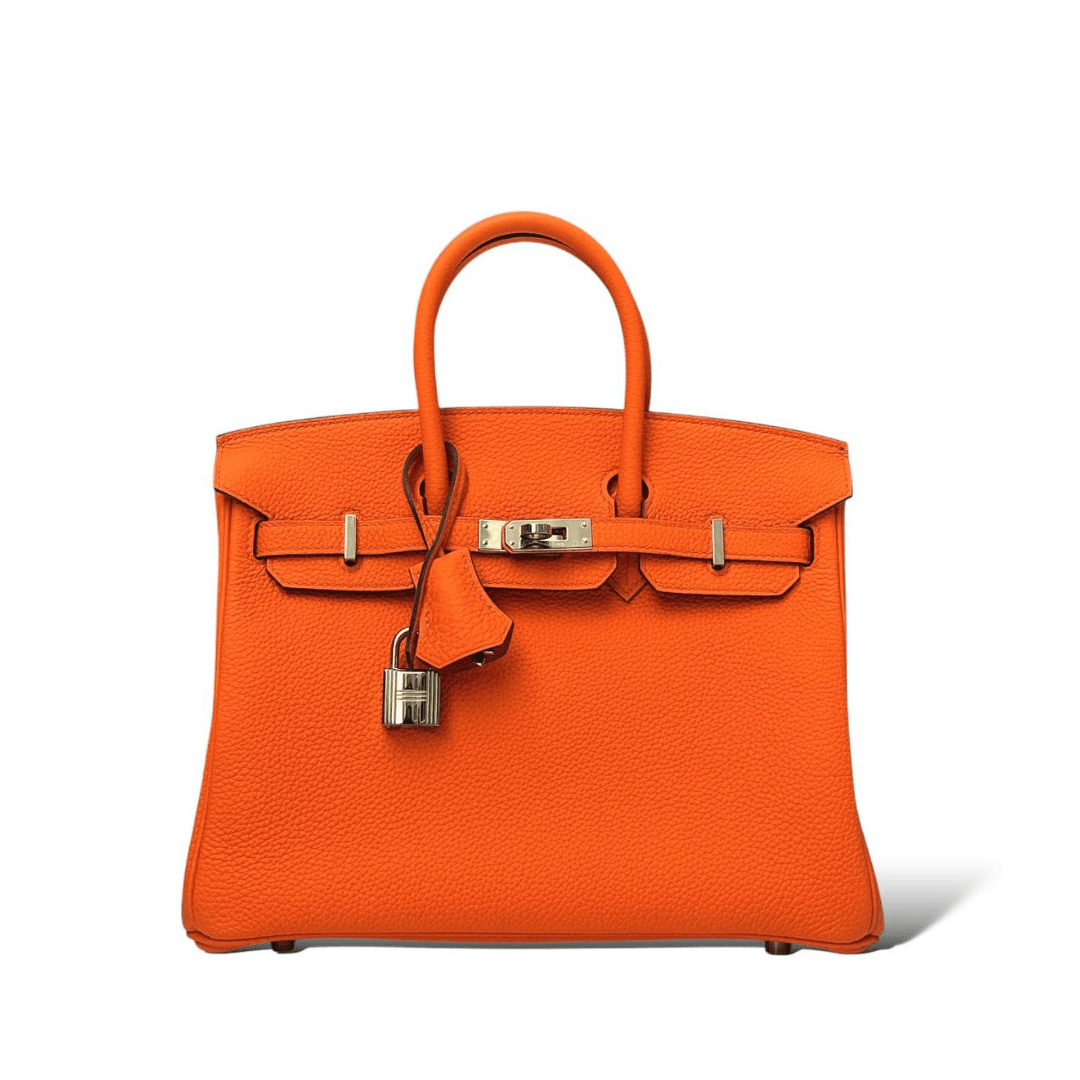 Birkin 25 Bag - Novell "Fashion"