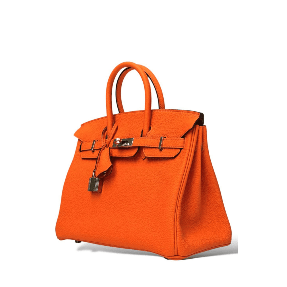Birkin 25 Bag - Novell "Fashion"